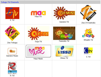 telugu tv channels,bala subrahmanyam,raghavendra rao  టివి కార్యక్రమాలు చూస్తుంటే కడుపు తరుక్కుపోతోంది..!